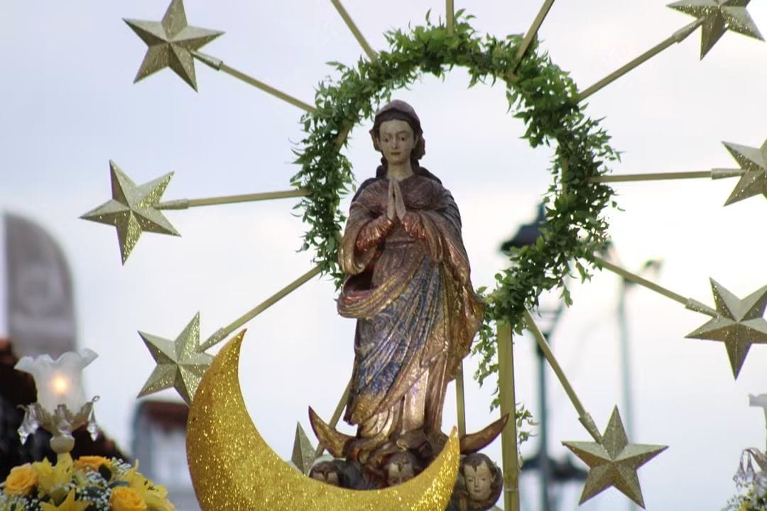 Imagem de Nossa Senhora cercada por estrelas, flores e folhagens